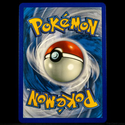 Mega Camerupt EX 022/132 Half Art Double Rare Holo Mega Evolution Base Set Pokemon Card
