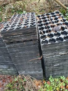 Shallow Plug Trays, 50 approx
