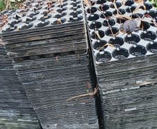 Shallow Plug Trays, 50 approx