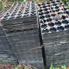 Shallow Plug Trays, 50 approx