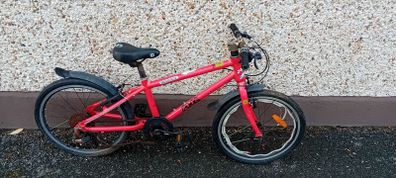 Kids Frog Bike/repair