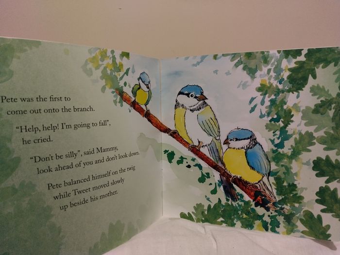 The Adventures Of Pete And Tweet Story Book