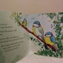 The Adventures Of Pete And Tweet Story Book Image 5