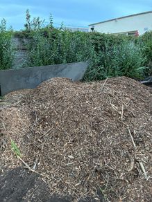 wood chip