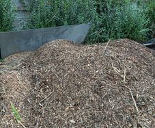 wood chip
