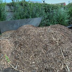 wood chip