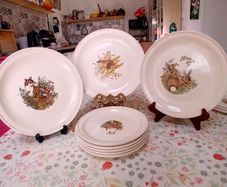 Carrigaline Wildlife Plates