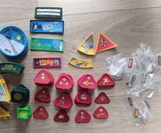 Scouting Ireland Badges Badge Pin Woggles