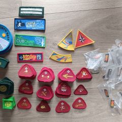 Scouting Ireland Badges Badge Pin Woggles