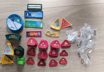 Scouting Ireland Badges Badge Pin Woggles