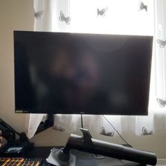 LG 27 Monitor