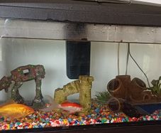 fish tank aquarium 54 litre with filter, heater etc