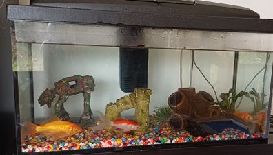 PRICE DROP!!!fish tank 54 l with filter, heater etc