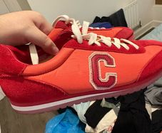 coach trainers