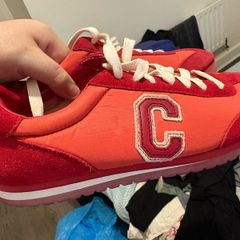 coach trainers