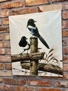 picture