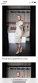 never worn dress caroline Kilkenny