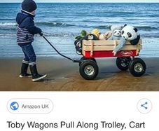 Pull Along Trolley, Cart Wagon Trolly Truck, Our All Terrain Trolley on Wheels is perfect for Beach, Shopping, Garden, Festival & Camping, Ideal for Shopping Dog Kids Toy 100kg Capacity