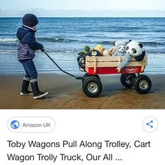 Pull Along Trolley, Cart Wagon Trolly Truck, Our All Terrain Trolley on Wheels is perfect for Beach, Shopping, Garden, Festival & Camping, Ideal for Shopping Dog Kids Toy 100kg Capacity