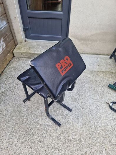 Gym Bench and Preacher Curl