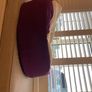 Baby Beanbag Seat for Infants, Lightweight Floor Seat, Excellent Condition Image 2