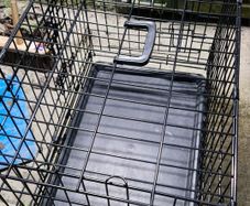 dog cage