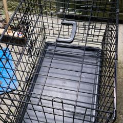 dog cage