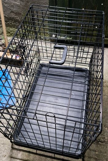 dog cage