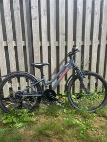 Ridgeback Destiny Girls bike