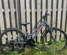 Ridgeback Destiny Girls bike