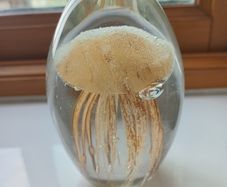 3 Retro Hand Blown Glass Maritime Paperweights