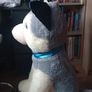 Big Dog teddy Image 5