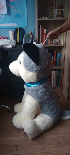 Big Dog teddy