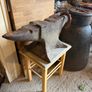 Blacksmiths Anvil - large size Image 5