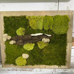 Wall decor 40x50cm natural moss