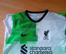 Nike Liverpool Jersey Size L (12-13 yrs)