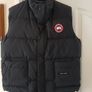 Canada goose Image 2