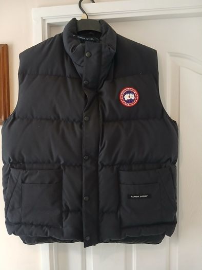 Canada goose