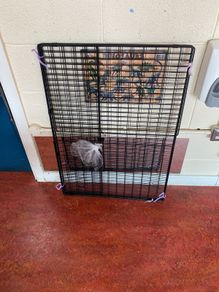 fire guard
