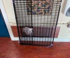 fire guard