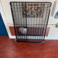 fire guard