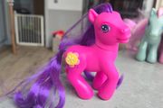 Sand Dollar Dream Design Ponies MLP G3 My Little Pony 2003