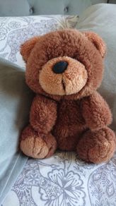 Brown Bear