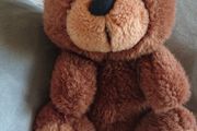 Brown Bear