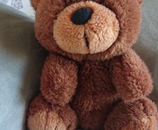 Brown Bear