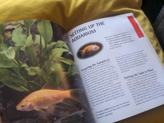 Goldfish -A Complete Pet Owners Manual