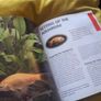 Goldfish -A Complete Pet Owners Manual Image 6