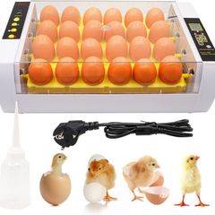 24-Egg Incubator with Automatic Digital Temperature Control