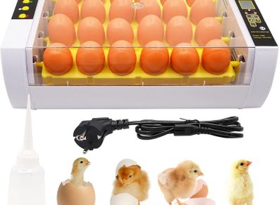 24-Egg Incubator with Automatic Digital Temperature Control