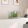 Glass Aquarium Image 4